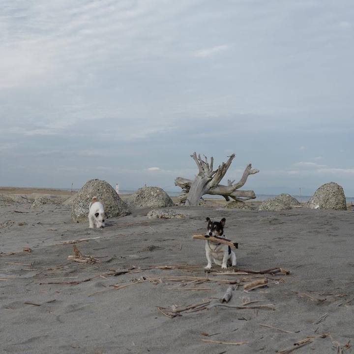 2b1d2854 6df6 4ece 83fe 270d43b2f4dd 1508131974192