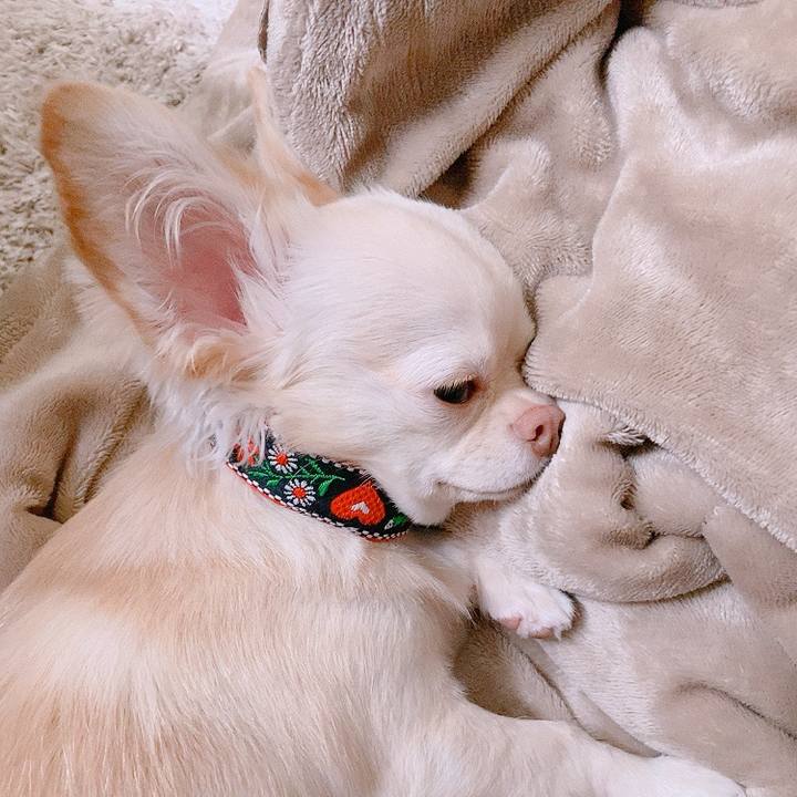 2b1d4726 7d92 4f0b 8cf0 0cfa1570e632 1628989089258