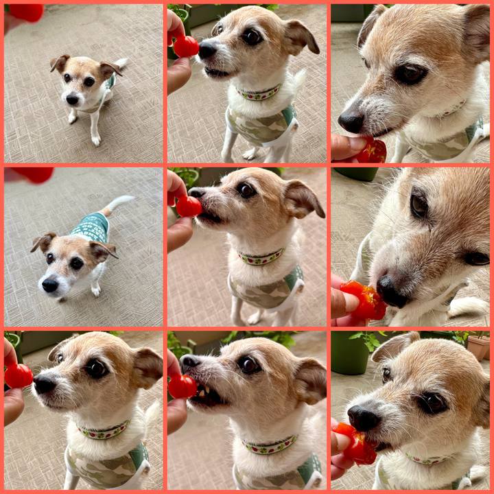 2b1d5343 ca96 4d67 96b0 71fe8b705f56 1687478485655