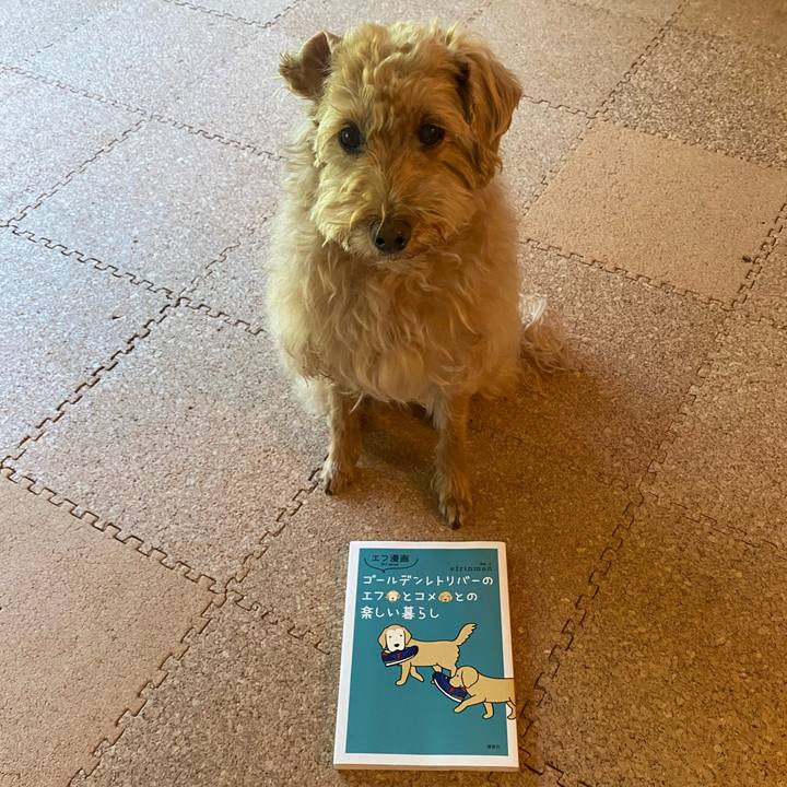 2b1d600e 2c37 453e b326 616d675f35df 1685396361693