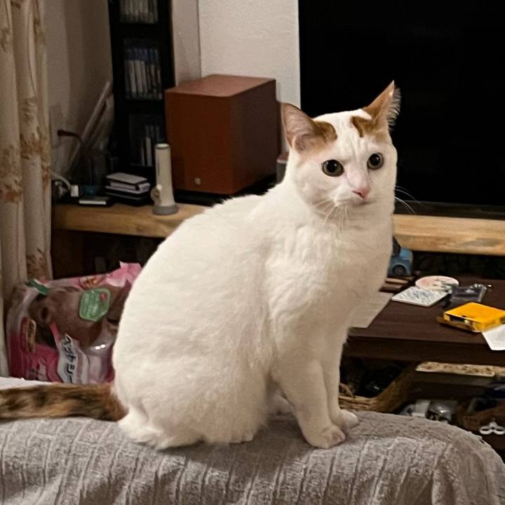 2b1d8171 f150 4fcd 94f3 74312ead9c1f 1769092662022