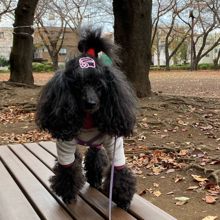 2b1d829e 78eb 4d6c ba04 09f986f104bc 1670046071570