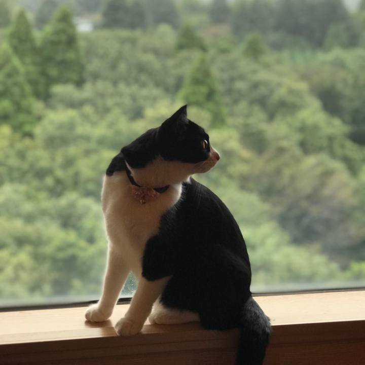 2b1e1a54 765c 4335 bac1 d5e977a54e35 1536918964028