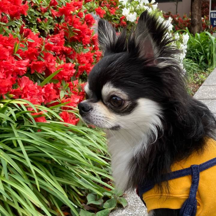 2b1e1f55 90c5 46f0 935e 205152680e4e 1681620070251