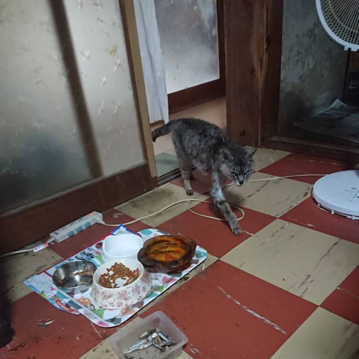 2b1e55a8 9832 4dc1 b0d7 1ad2f7137313 1594158512137