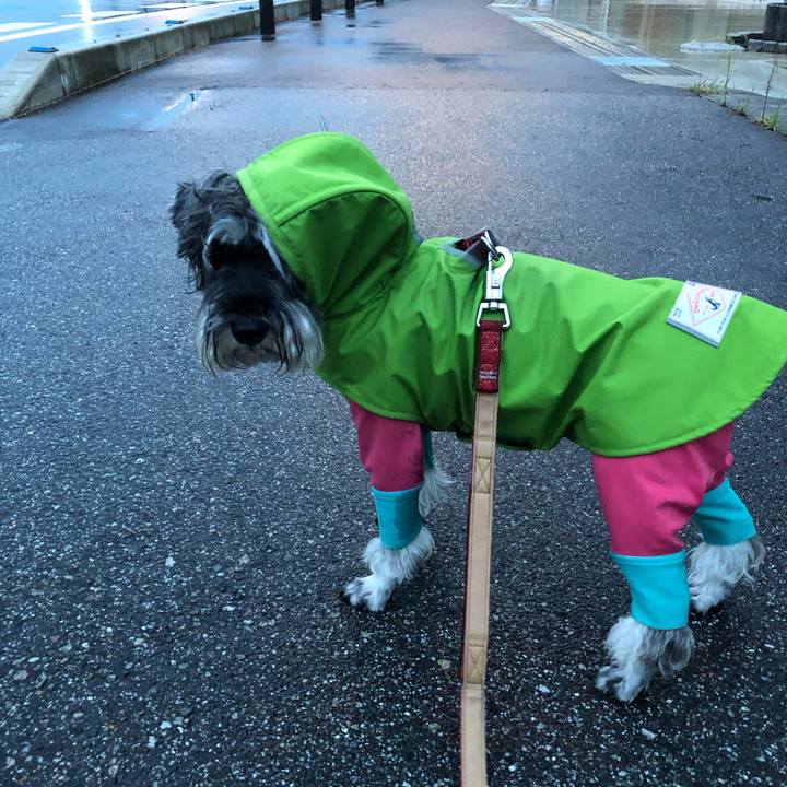 2b1e9092 2244 4fa7 8c05 06f012f9ce2b 1695303860927