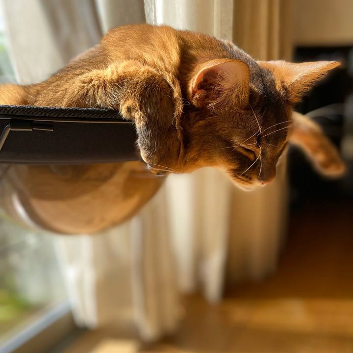 2b1ea0db d676 4d30 b258 7adcc4dc622e 1666315679911