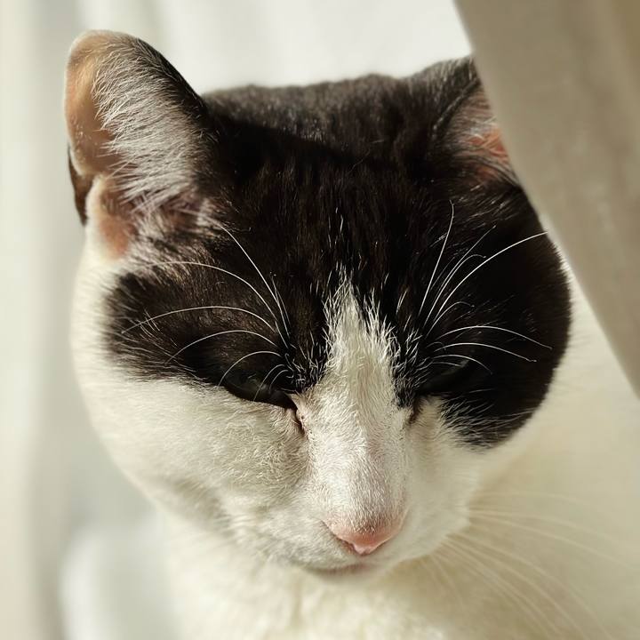 2b1f2066 3248 47f0 b029 330337fdadd4 1672452936072