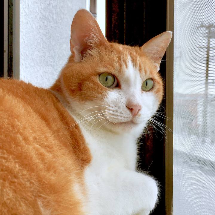 2b1f5785 7125 4d56 bb45 59c6fbccd5cc 1562652903551