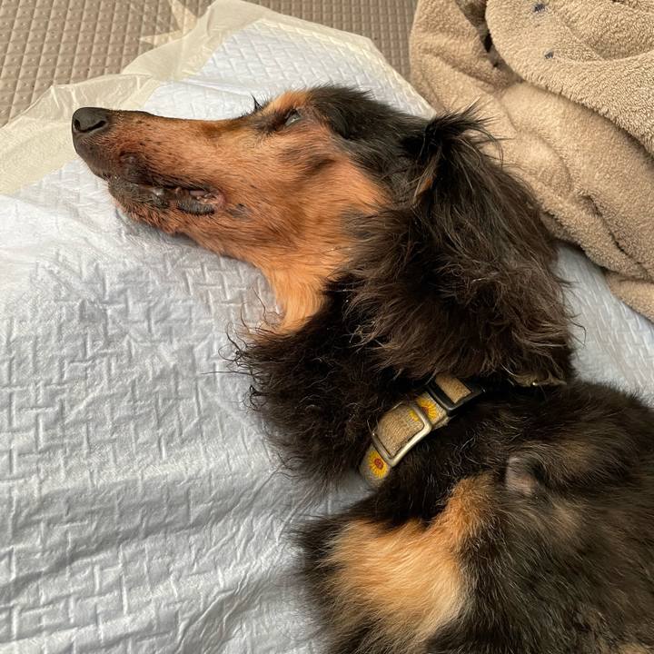 2b1f5c6e 5640 48b6 beae 703392fa1e3e 1759663187762