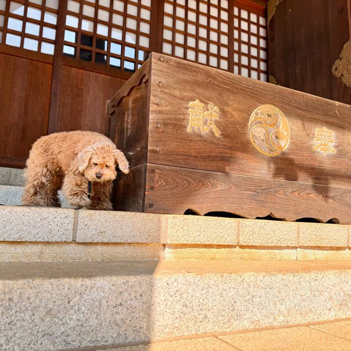 2b1fad51 a3ac 4bea 8f1d c692a4e4e55f 1773726626923