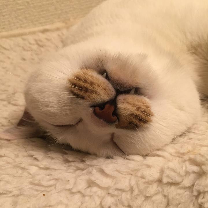 2b1fd2f0 89d1 42d2 acd2 4e7d8f7e0423 1584799861462