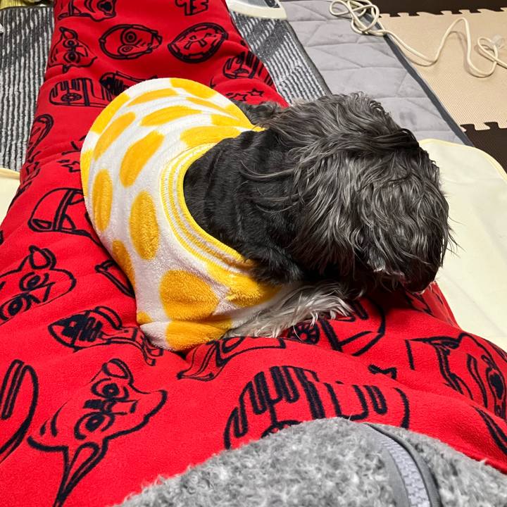 2b1ffa4a 90f9 4987 ae3e af5e09d4348c 1772925717686