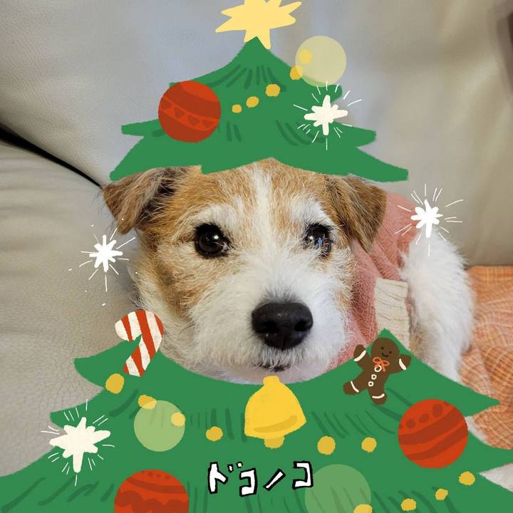 2b20129f 71d7 453d 8d44 871c3b3b9186 1764201465137