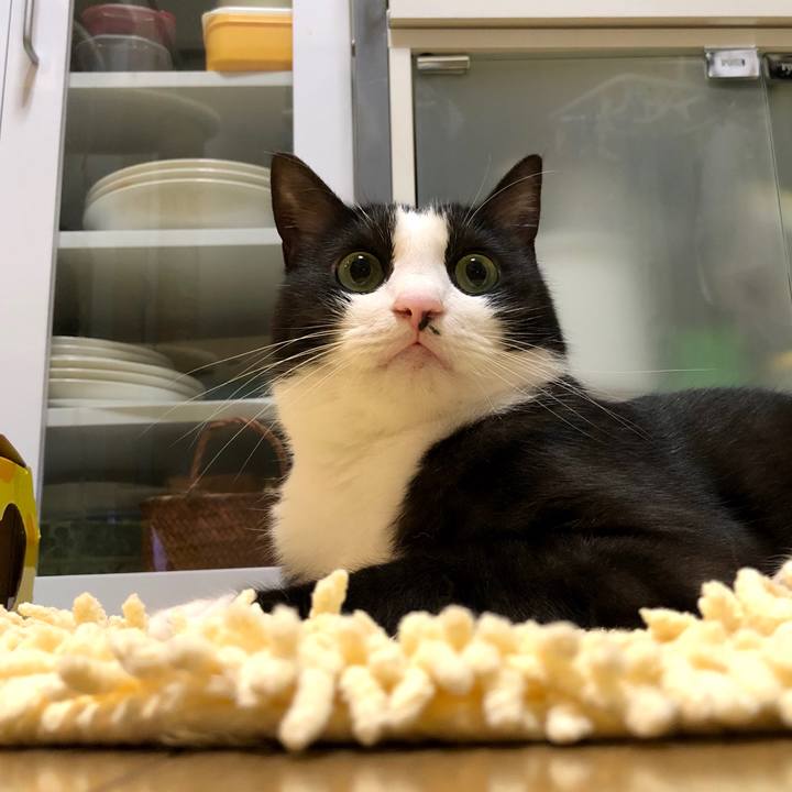 2b2014a7 f34b 416c 8532 7de42f9cd9d4 1561615366063