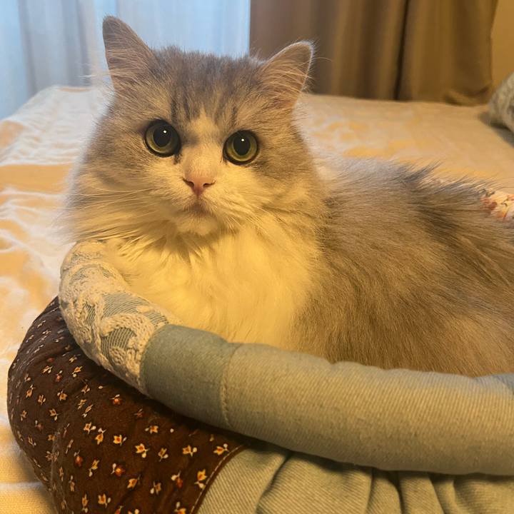 2b201e3a 7c77 4390 8894 b5c2d4b8b199 1765713732820