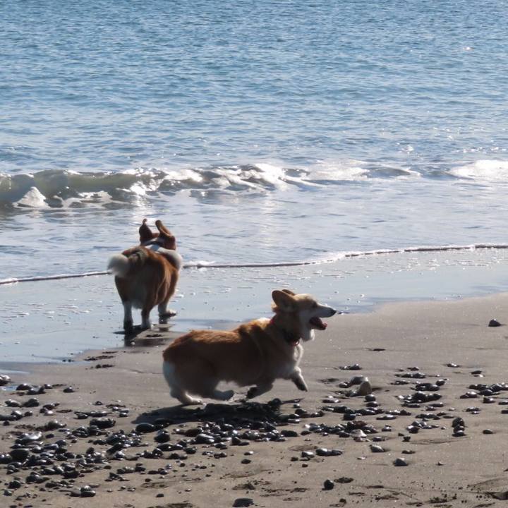 2b204c42 cec8 4a54 a06c 34c46713557d 1667785109191