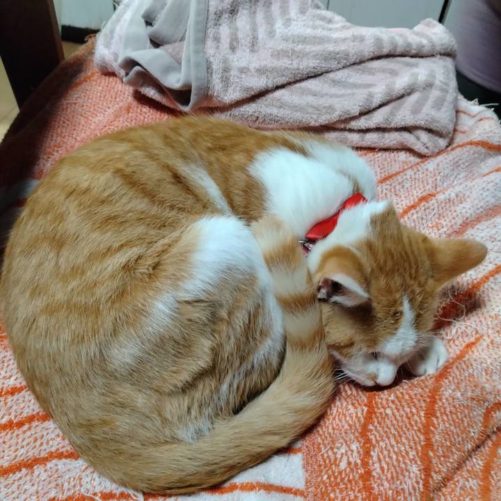 2b207832 a072 4e92 bd88 0271d15b6152 1743674255300