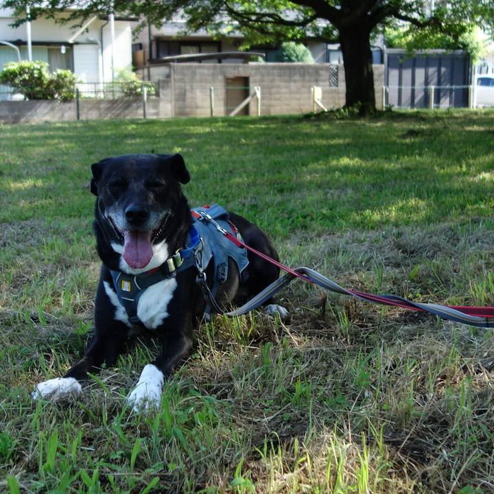 2b20944d f100 4d27 ad8c 7cd93bd6dd7d 1717809343021