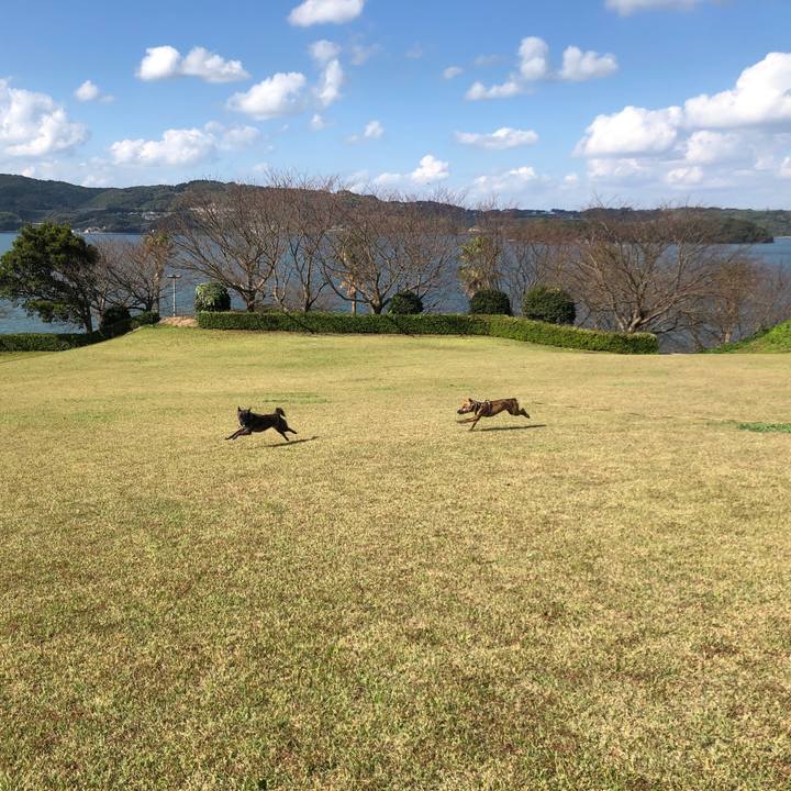 2b209f33 34a4 4c69 a86e 3a6dc78aaebc 1573713355053