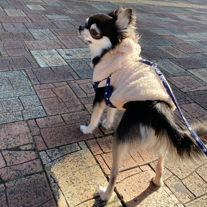 2b20a029 f28e 43af bfd6 df044b46a9de 1641270889439