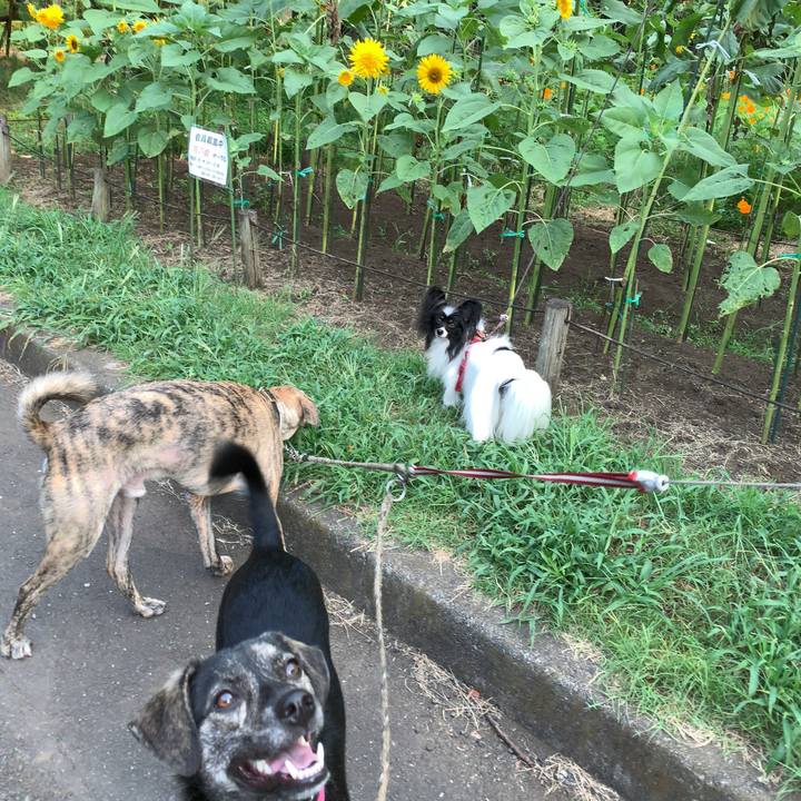 2b20bfde 9384 485d b949 121fe5319926 1565478373012