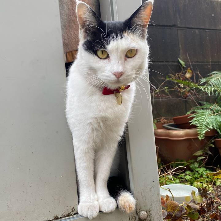 2b213250 5d72 4c13 97af 2f310629ff44 1637705165068