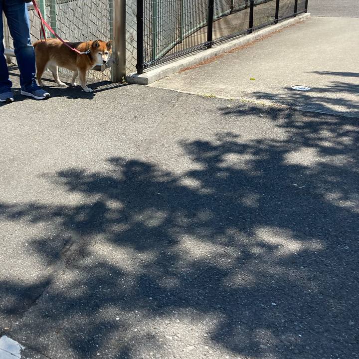 2b21d170 f363 4c8c bf62 594523b87e90 1651565994490