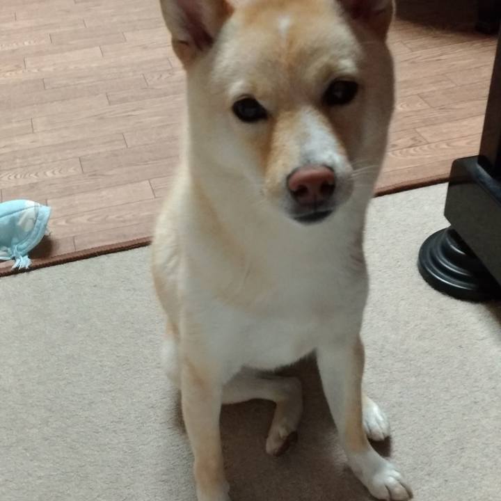 2b220744 1699 47a9 a0f7 dccf45765906 1531395301323