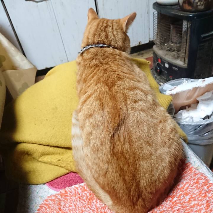 2b2250bd 5e10 406c 8dae 09d6e808a247 1572997885713