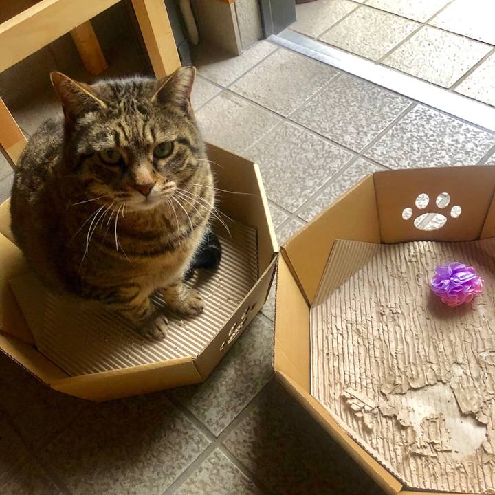 2b2264b4 8571 49d5 88b4 4324a59a12d7 1551428362737