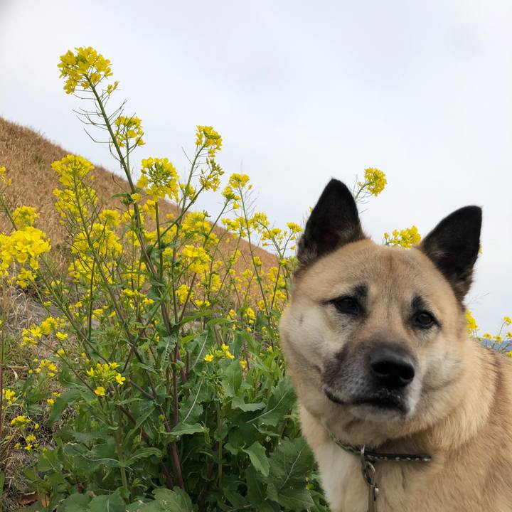 2b226f11 eb1d 40bb 8d30 4bd4fd6a141b 1615119187567