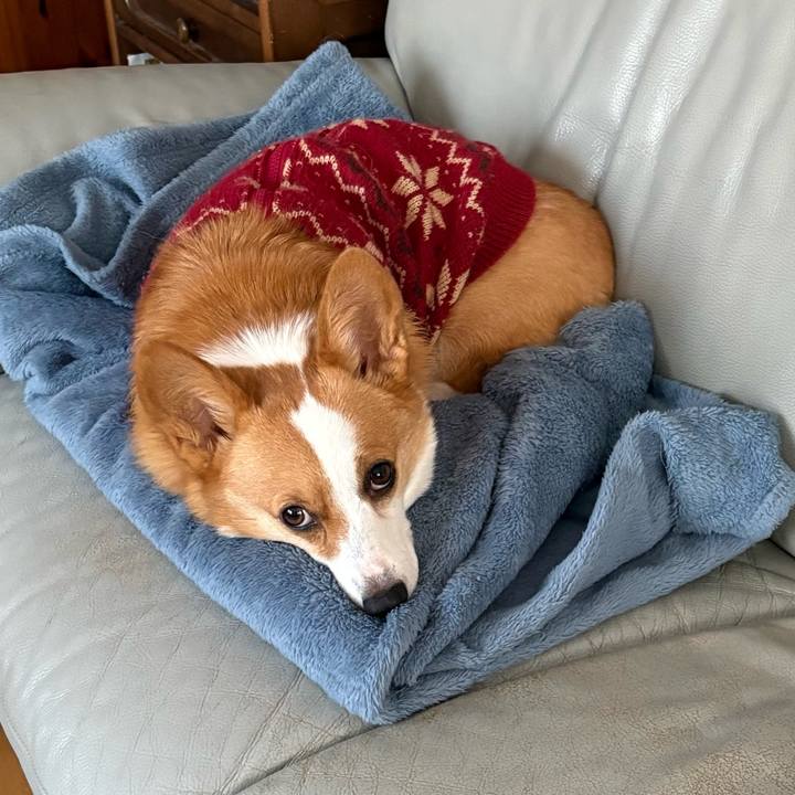 2b227089 06c7 49e3 acc9 4599b21d5d14 1768862337865