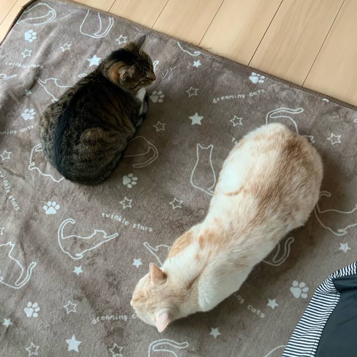 2b2278b1 8840 4fa1 b5c5 b5f2dc26754c 1665281521139