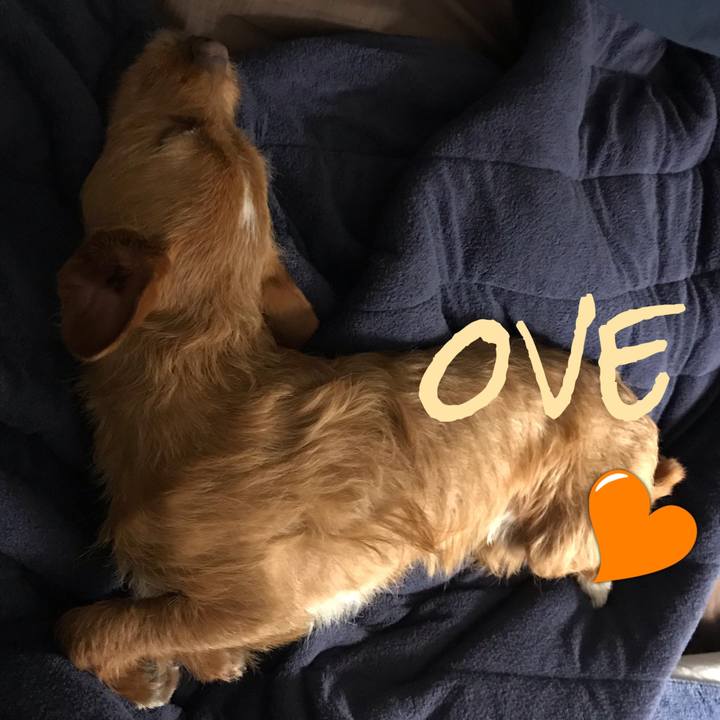 2b227b06 8c4a 4f8c b6d4 64b3e4b512c9 1555297196298