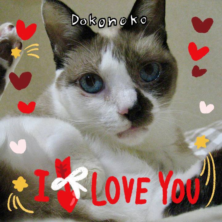 2b22a089 6be4 4447 a5b8 657447bc81f2 1706834015398