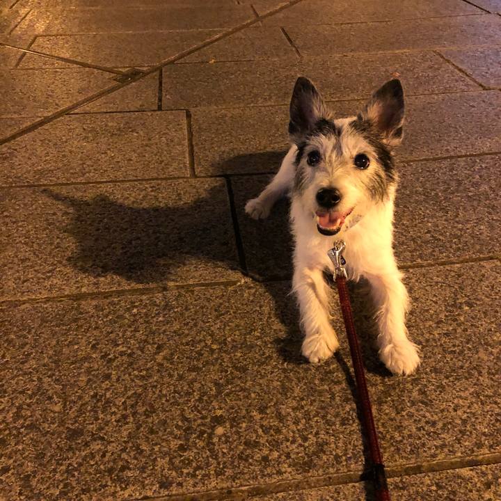 2b22bd60 9dbb 4086 9215 40f0a7476b2b 1527392064434