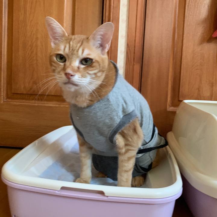 2b22c529 8929 4f49 bca8 97bfc2e934b4 1642854938628