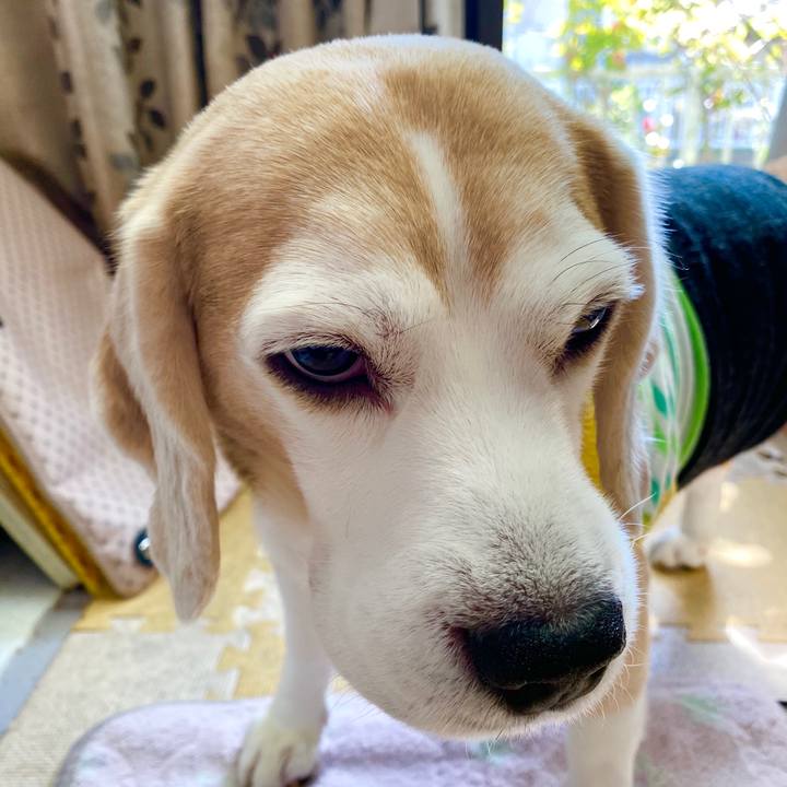 2b22e5fe ab62 45cb 9711 55b4c98e33fb 1584590078125