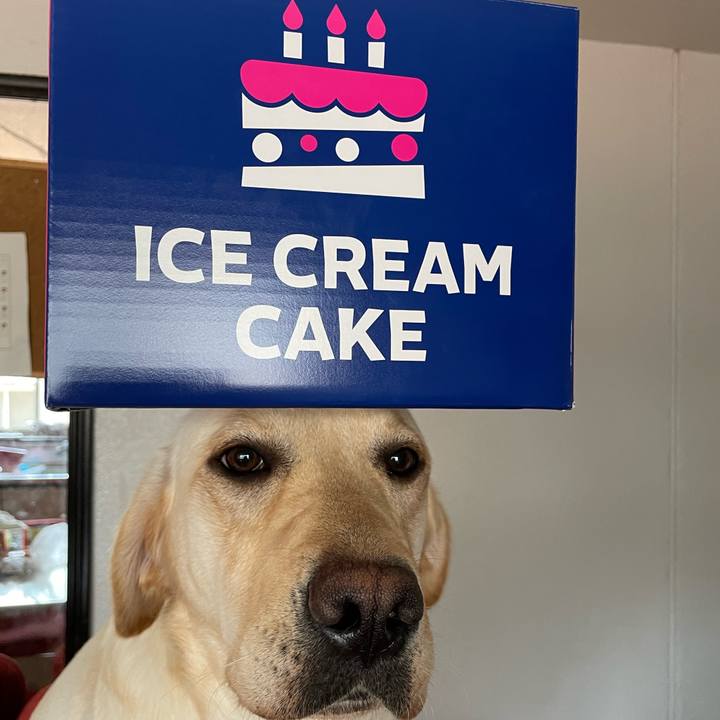 2b230cea 8bed 4dca 8510 09a2430eafed 1652872352012