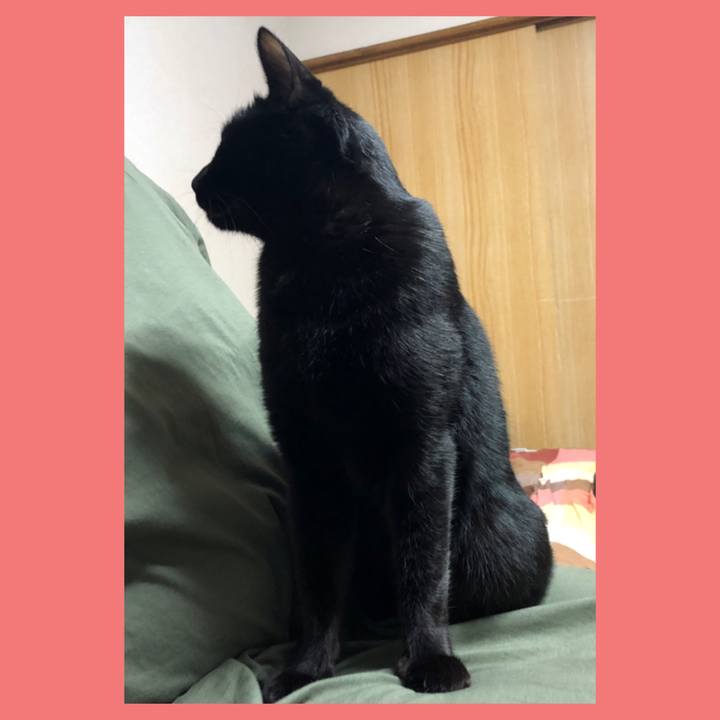 2b235af8 ad62 4a02 a0b1 89aa49c5cde1 1672129107566