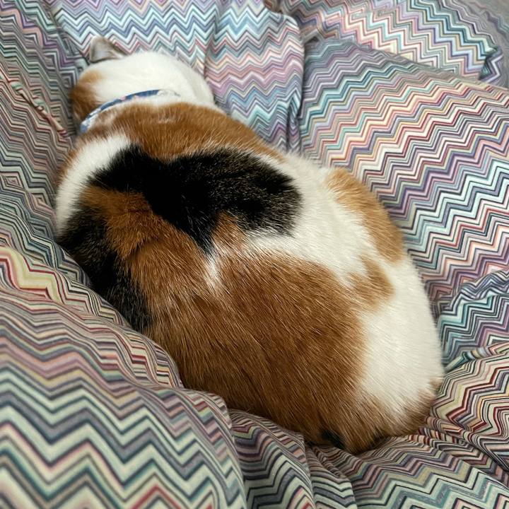 2b235d96 a631 4d02 bc3a b21d10358fce 1706407038855