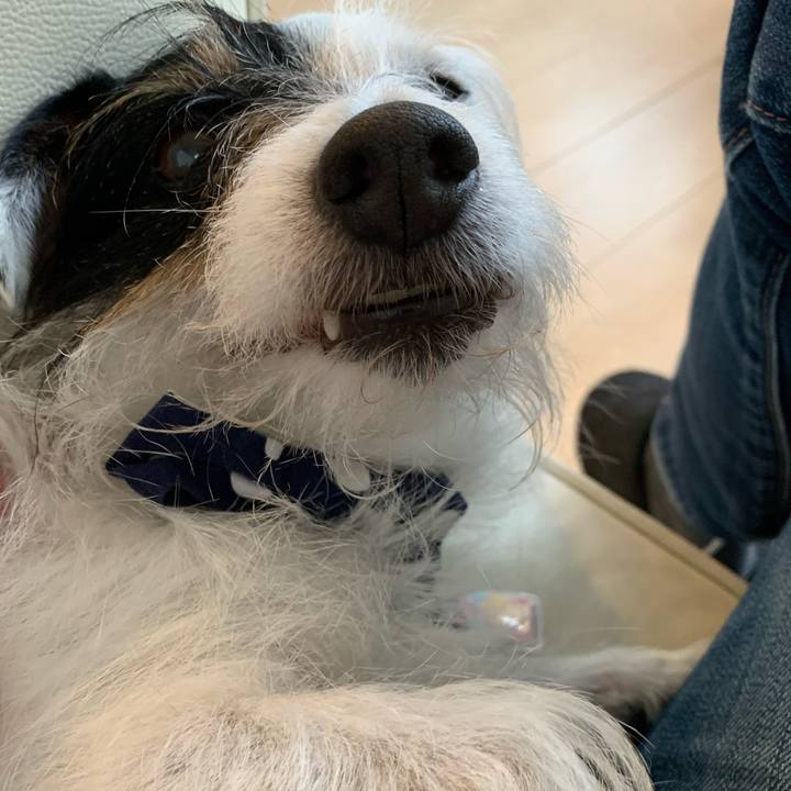 2b237cff a925 43c5 9681 a27dd9000a44 1650183048253