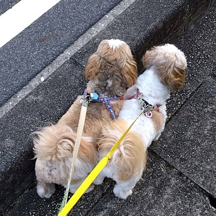 2b23a555 a40a 434a 9c45 58bd960f26eb 1720308069275