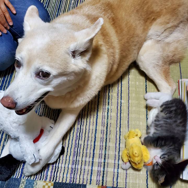 2b23be9a 8443 4661 94db bdd18e0e76af 1624967329684