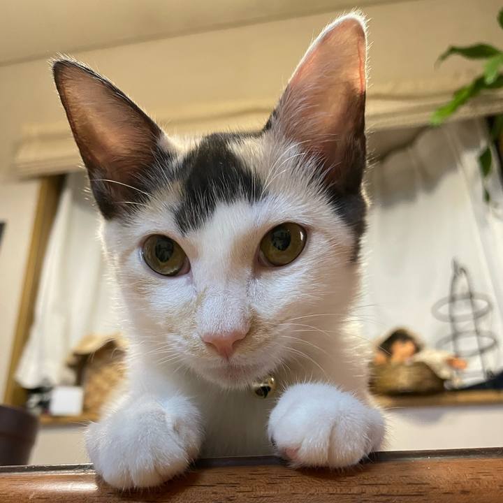 2b23deff ba75 4a7d a161 d2083d1fc0f9 1662464222281