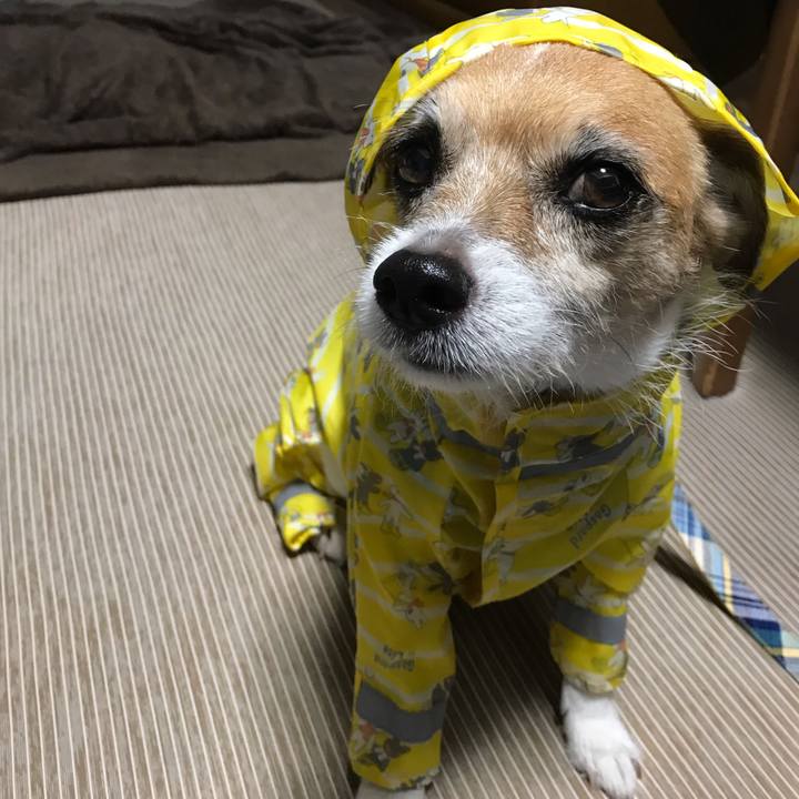 2b23e4c1 0fa4 41fe bfdb ec868bff76d6 1570827706099