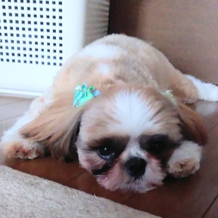 2b23e6fe 5210 4cd3 99d6 4a958e0b751c 1575606776918