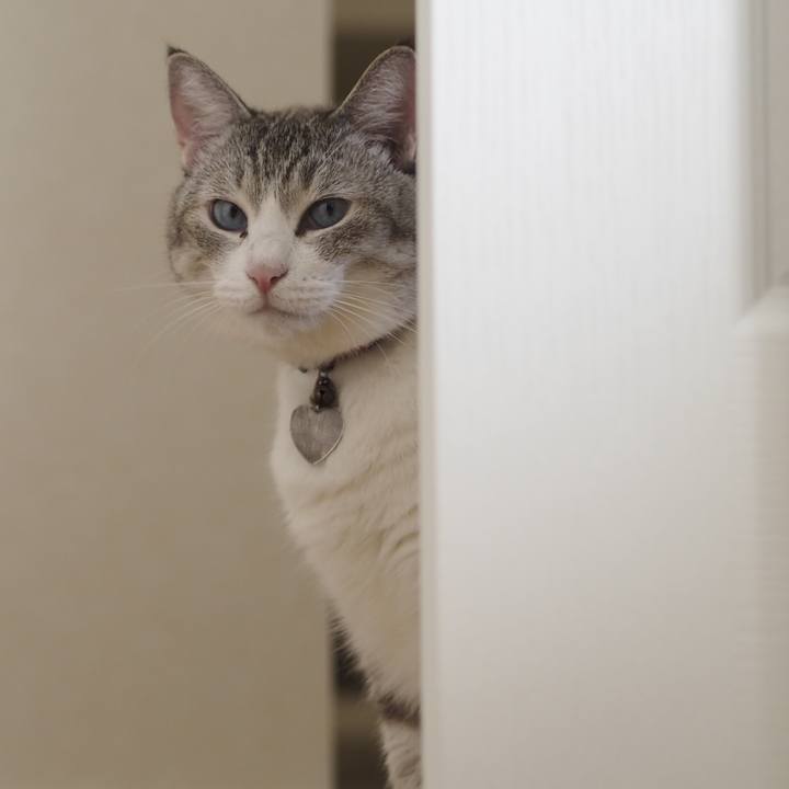 2b242004 0241 4f55 b617 51588f8521cc 1630822116104