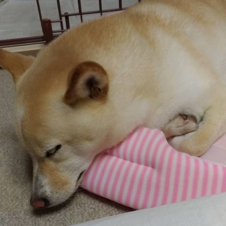 2b242f8b 1921 42e0 b9fa 511ab7cf35f6 1589715998022